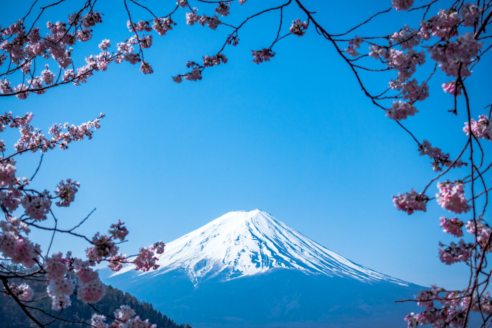 Japan travel scenery for Hakone